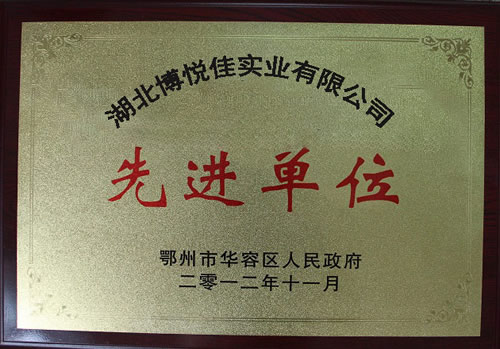 先进单位  匀质自保温砌块厂家